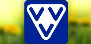 blokken VVV Sneek (EN) image